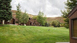 A residential area with a well-maintained lawn, a wooden deck, and houses with brown exteriors.