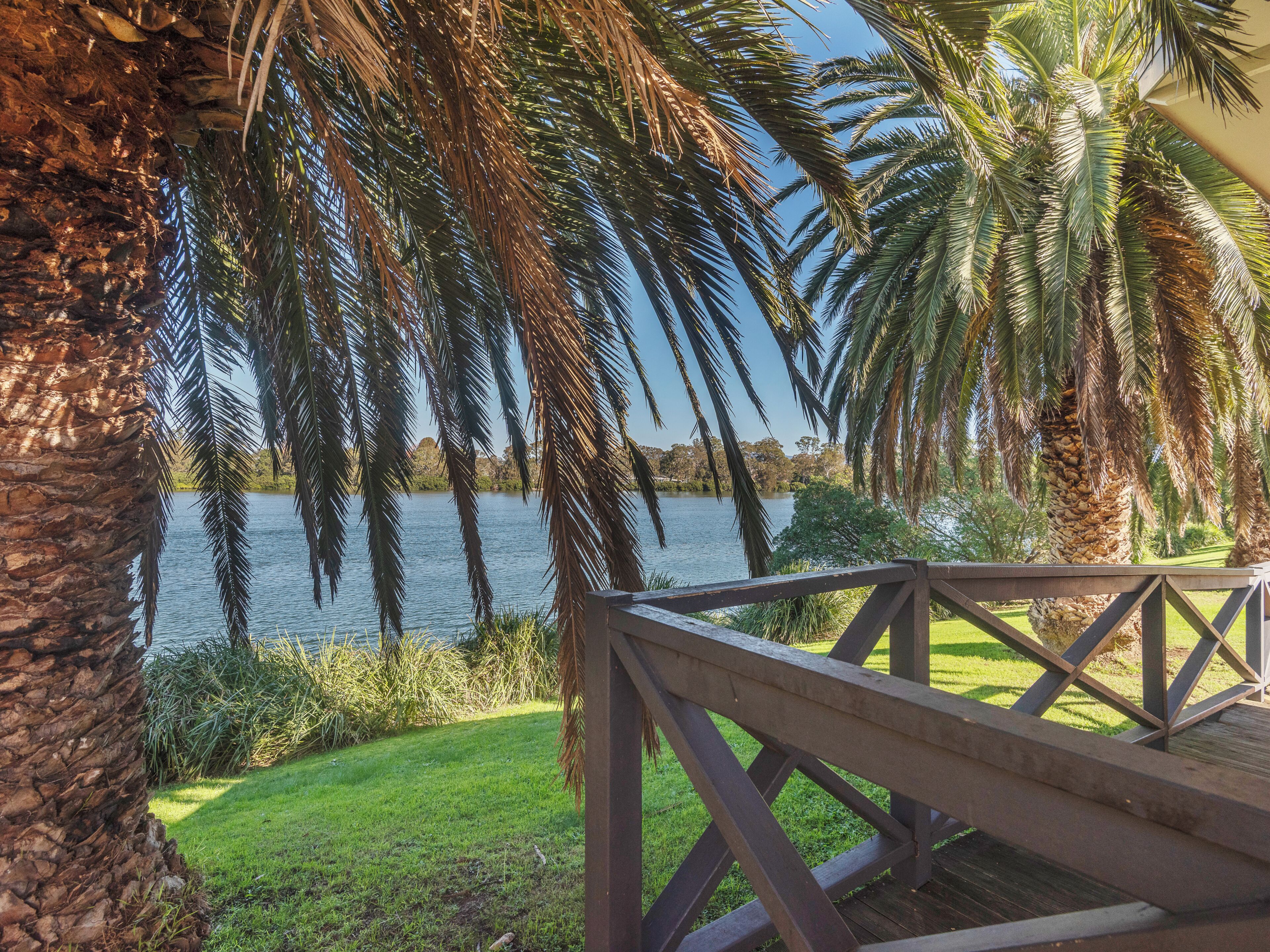 A wooden deck overlooking a lake with palm trees and a grassy area.