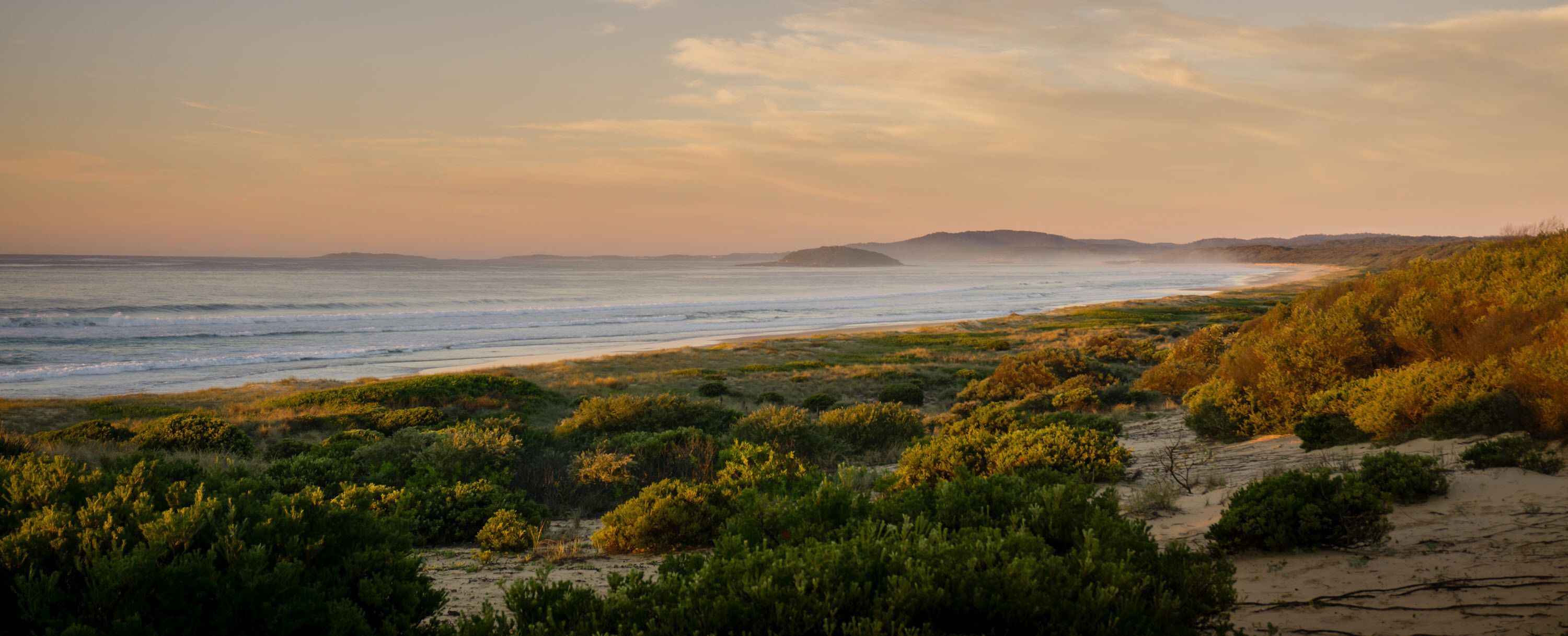 A coastal landscape with a beach, dunes, and vegetation.