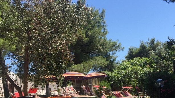 A park with outdoor seating, including benches and lounge chairs, under trees. - MIMOSA A Three-room detached house in the Villa Carla Residence for realiz (Vieste)