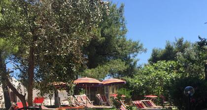 MIMOSA A Three-room detached house in the Villa Carla Residence for realiz