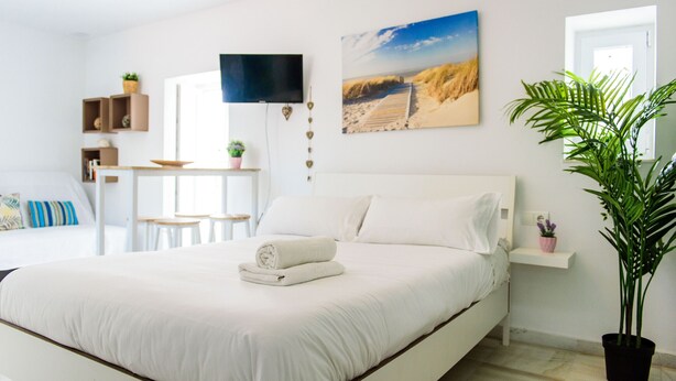 Ein modernes Schlafzimmer mit einem großen Bett, einem Flachbildfernseher, einem Strandbild und einem Blumentopf.
