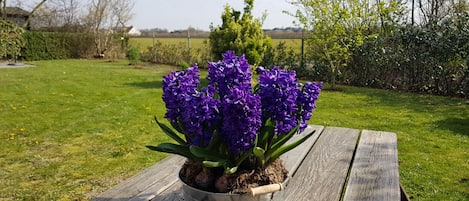 Área da propriedade