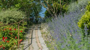 Un chemin de pierre bordé d’une végétation luxuriante et de plantes en fleurs.