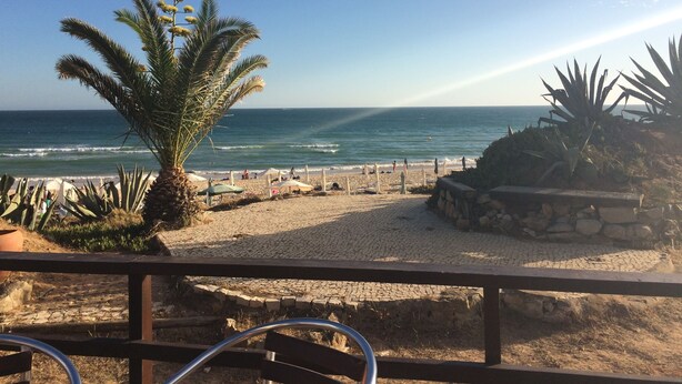A beach with a palm tree, a stone wall, and a view of the ocean. - 3 Bed Apartment Rental w/ Pool nr Beaches, Golf in Vilamoura, Algarve, Portugal (Vilamoura)