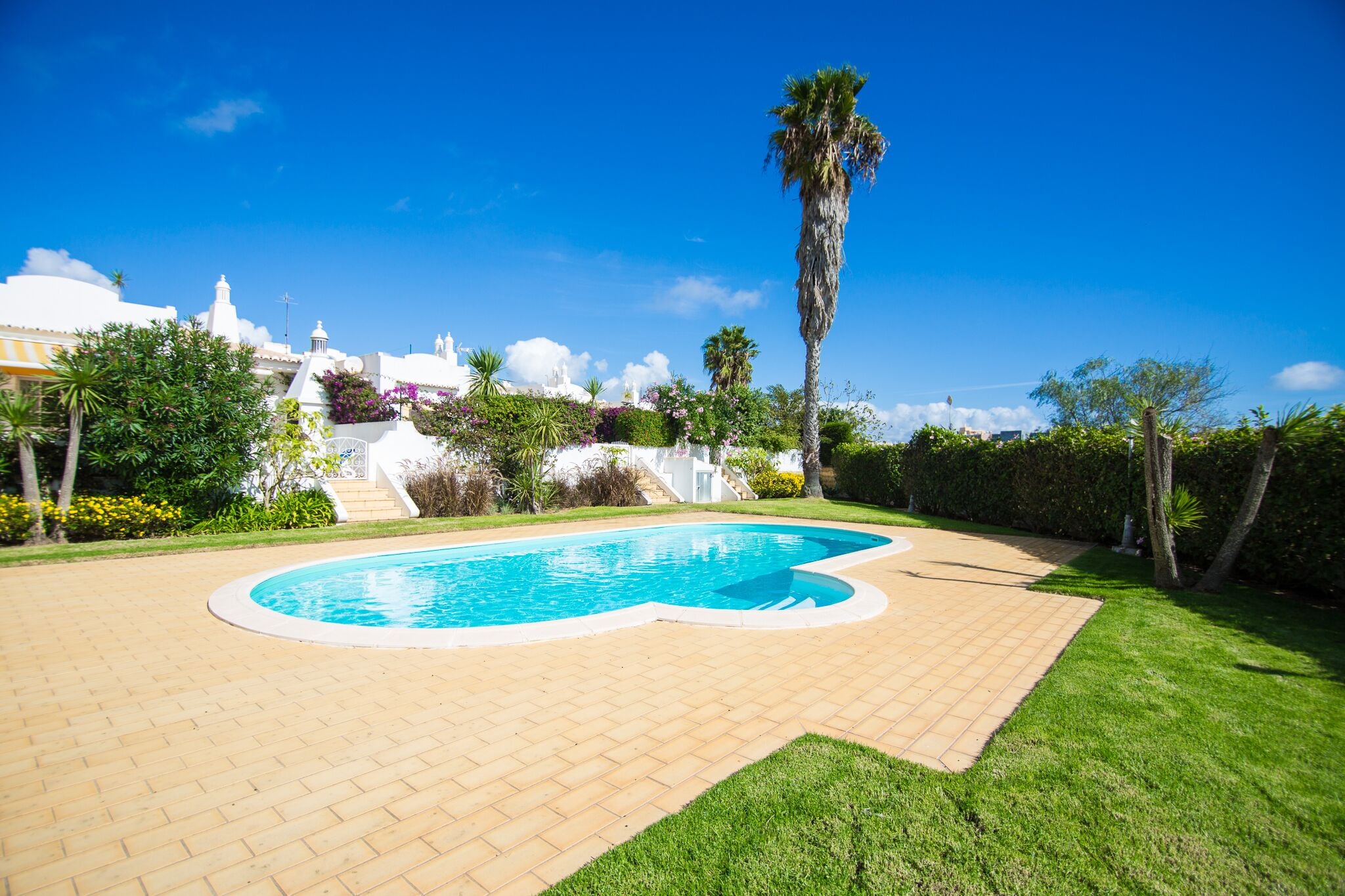 Ein Pool mit gewölbter Kante, umgeben von einer Ziegelterrasse und einem gepflegten Rasen.