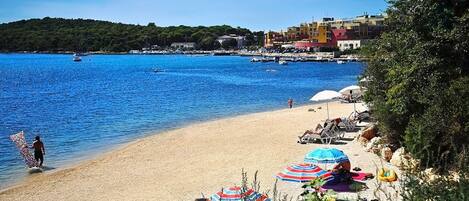 Lettini da mare