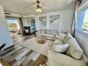 Télévision, lecteur de DVD, livres, vidéothèque