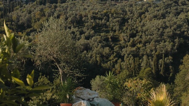 Una piscina con agua cristalina, rodeada de plantas en macetas y rocas, con una ladera boscosa de fondo.