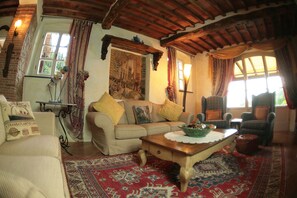 TV, fireplace, DVD player, books