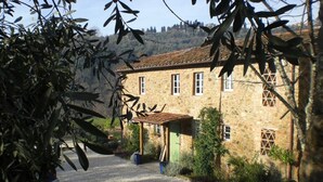 Un edificio de piedra con camino de grava, rodeado de follaje y árboles.