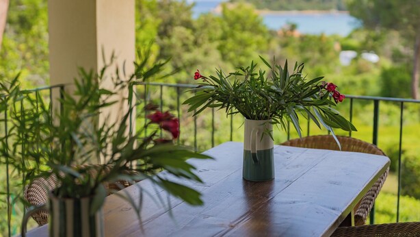 A wooden table with a potted plant on it, set on a balcony with a view of greenery and a body of water in the background. - A Country House by the Sea (Procchio)