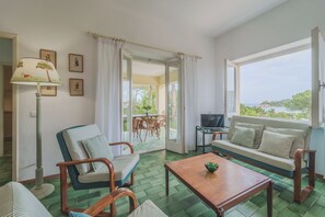 Télévision, cheminée, livres