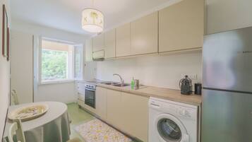 Fridge, oven, stovetop, dishwasher