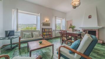 Télévision, cheminée, livres