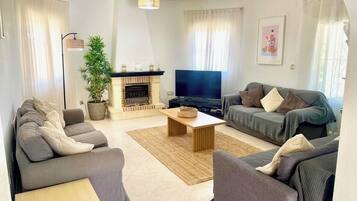 Smart TV, chimenea, reproductor de DVD y libros