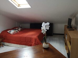 1 bedroom, iron/ironing board, WiFi, bed sheets - quiet studio in saint clotilde (Sainte-Clotilde)