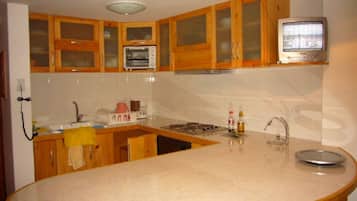 Attico Luxury, letti multipli, non fumatori | Cucina privata | Frigorifero con congelatore, piano cottura, pentole/stoviglie/utensili