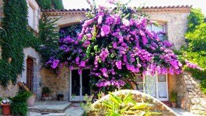 Un edificio de piedra con una escalera de piedra que conduce a una puerta, rodeado de macetas con plantas y buganvillas florecientes.