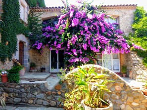 Áreas de la propiedad