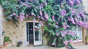 Un edificio de piedra con puerta y ventanas, rodeado de macetas con plantas y enredaderas florecientes.