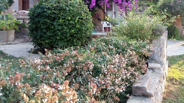 Un edificio de piedra con balcón, rodeado de exuberante follaje y plantas en flor.