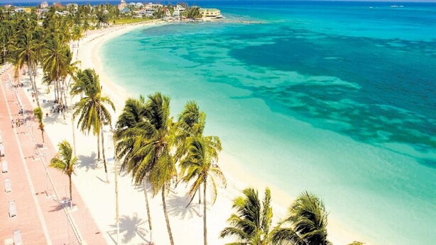 A beach with palm trees and a clear blue ocean. - Apartamentos 3-54 (San Andrés)
