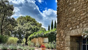 A stone building with a patio featuring a table and chairs, surrounded by greenery and trees.
