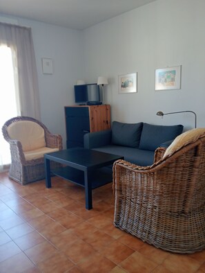 تلفزيون ذكي، مدفأة، مشغل دي في دي، كُتُب