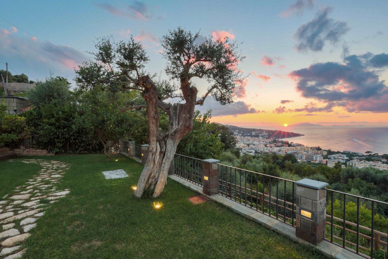 A tree-lined pathway leading to a balcony overlooking a cityscape at sunset.
