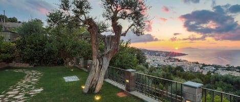 A tree-lined pathway leading to a balcony overlooking a cityscape at sunset.