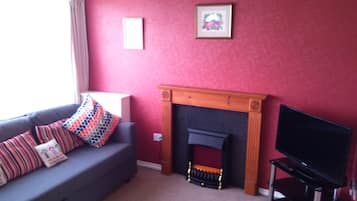 TV, fireplace, video games