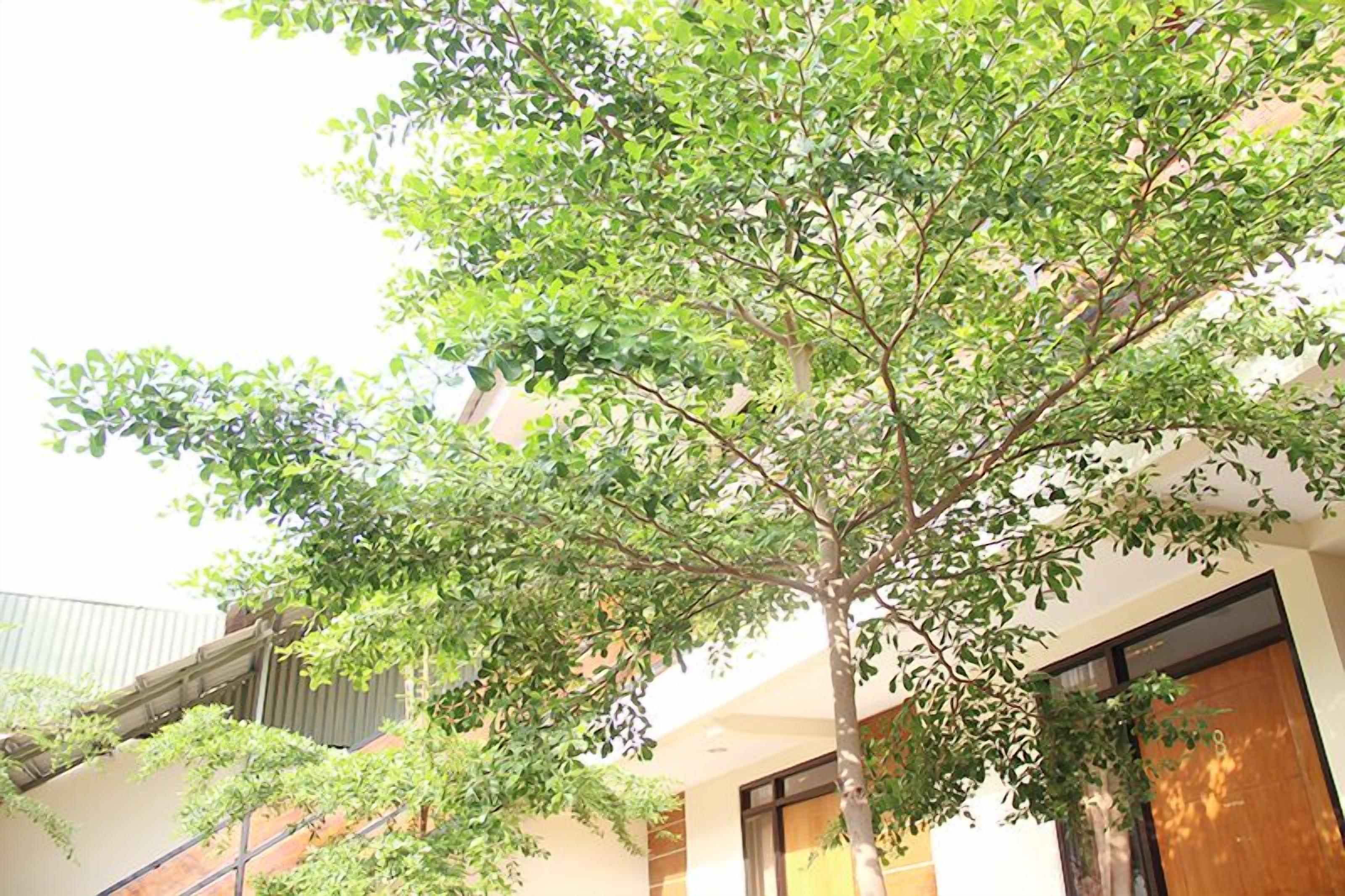 Foto - Bamboe Inn Homestay