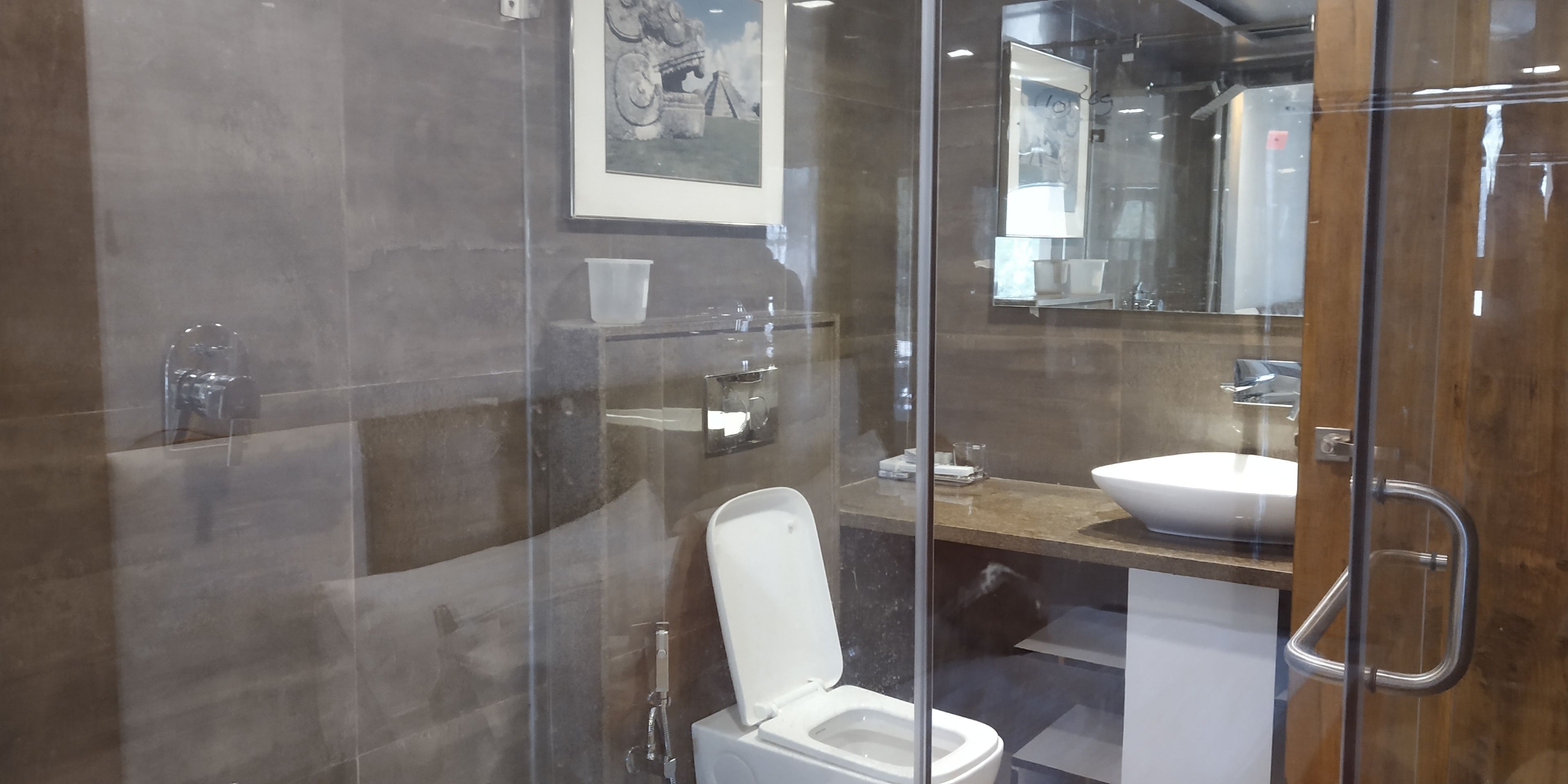 A modern bathroom with a glass-enclosed shower, a white toilet, a sink with a large basin, and a mirror above the sink.