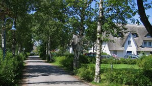 A narrow road lined with trees and houses, with a thatched-roof building visible in the distance. - Holiday apartment on the beach in a traditional thatched-roofed house  (Ostseebad zingst)