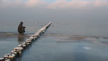 Ubicación a pie de playa