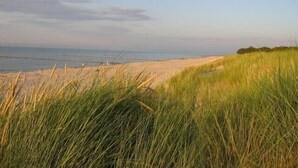 A beach with sand dunes and grass in the foreground. - Holiday apartment on the beach in a traditional thatched-roofed house  (Ostseebad zingst)