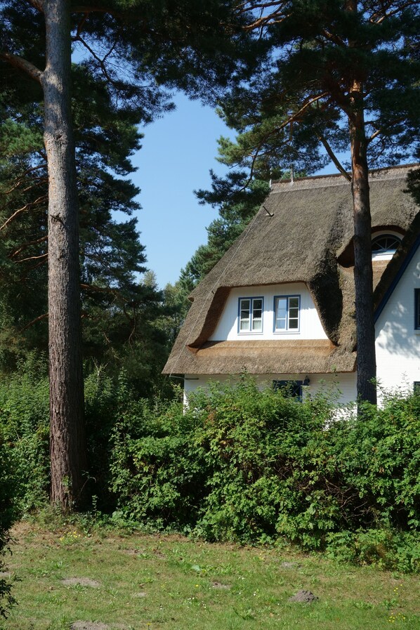 Exterior - Holiday apartment on the beach in a traditional thatched-roofed house (Ostseebad zingst)
