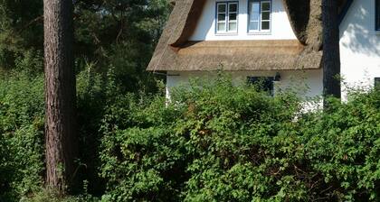 Holiday apartment on the beach in a traditional thatched-roofed house