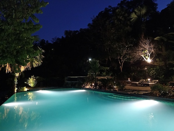 Outdoor pool, sun loungers