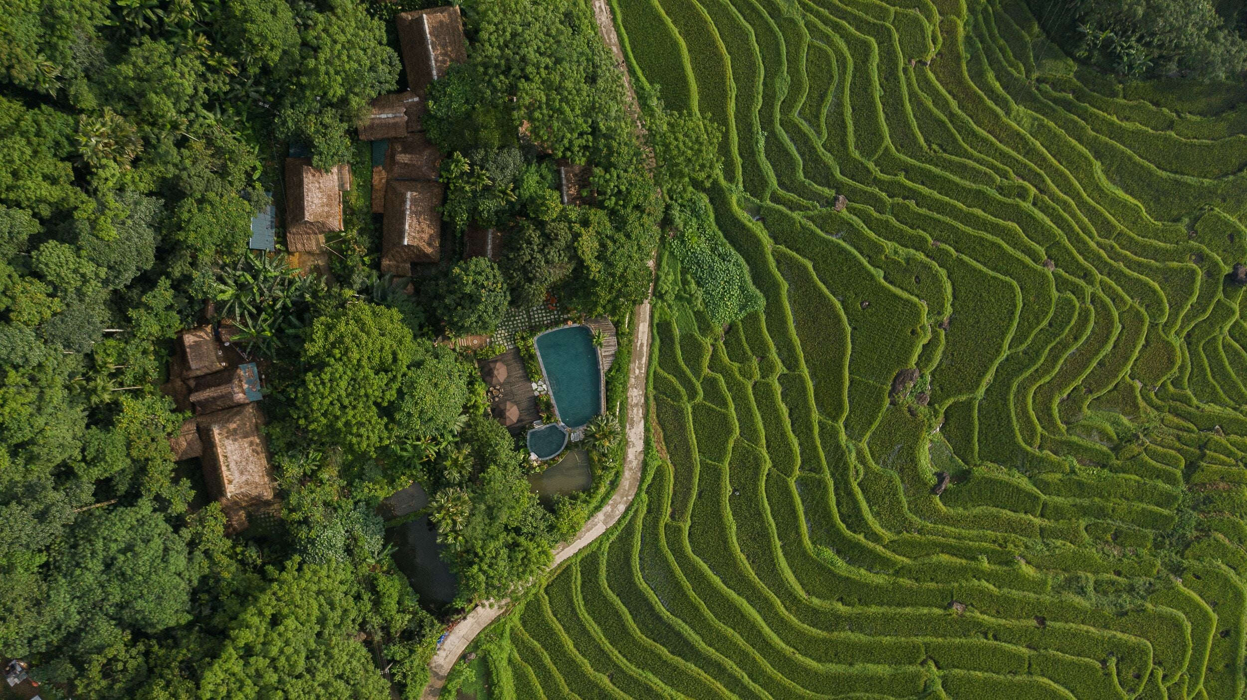 Terrein van de accommodatie