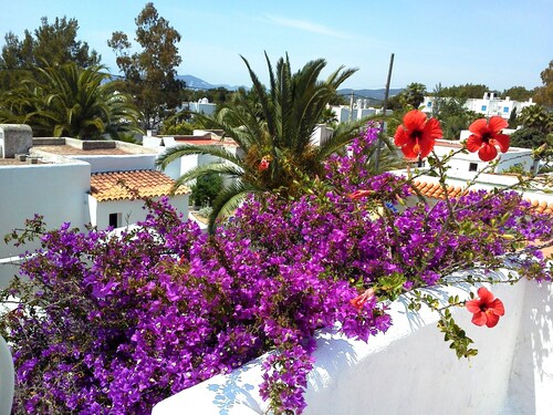Cala Llenya - Casa de vacaciones junto al mar con jardín cerrado