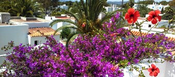 Cala Llenya - Lomatalo meren rannalla, suljetulla puutarhalla