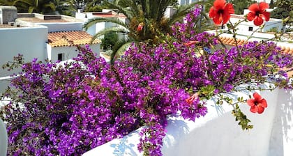 Cala Llenya - Holiday house by the sea with enclosed garden