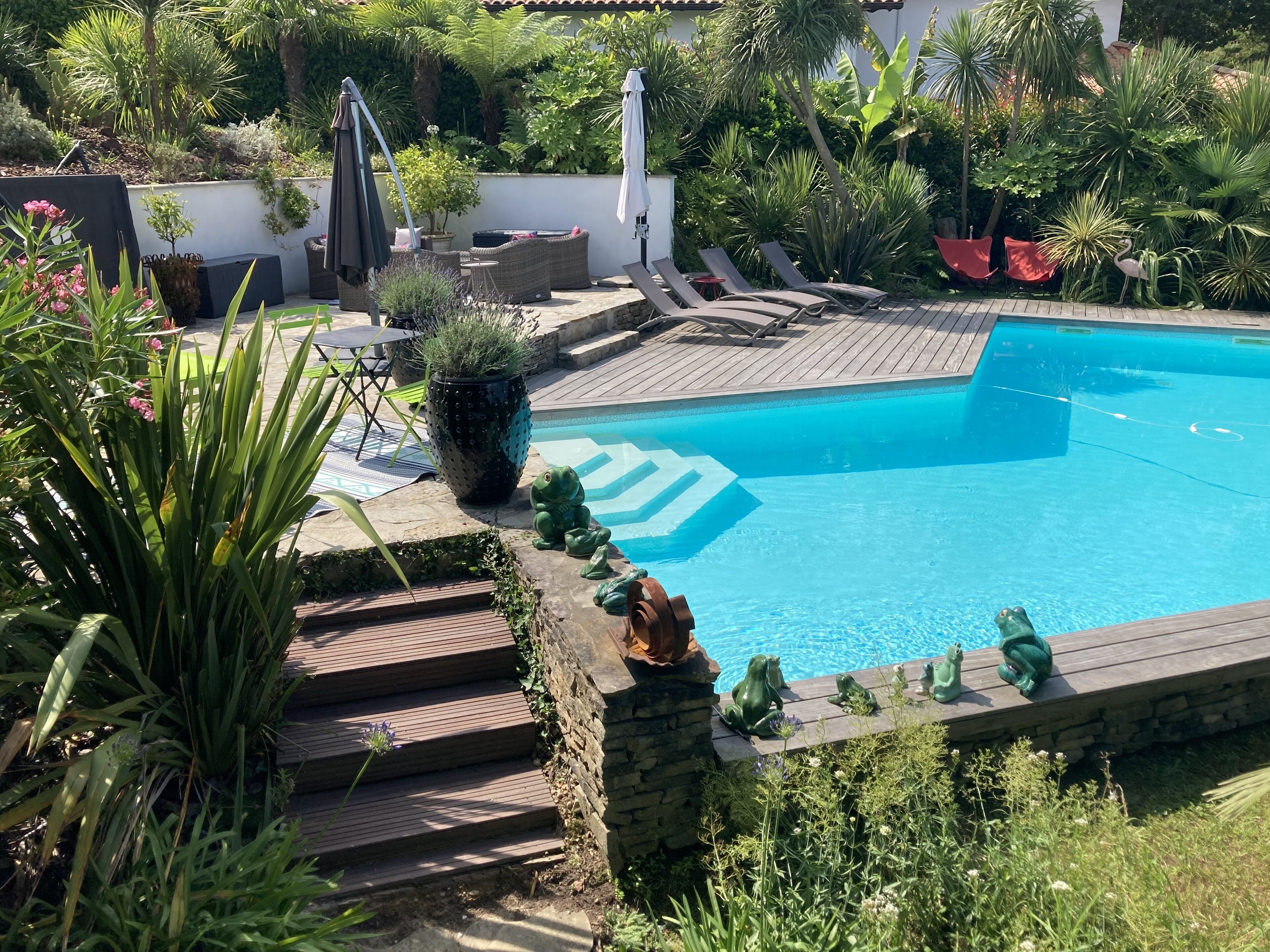 Une piscine bordée de pierres, entourée de verdure et agrémentée de quelques chaises longues.