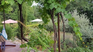 Property grounds - Bright Provencal farmhouse in Lorgues in quiet countryside with swimming pool and large garden (Lorgues)