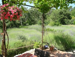 Terrein van de accommodatie