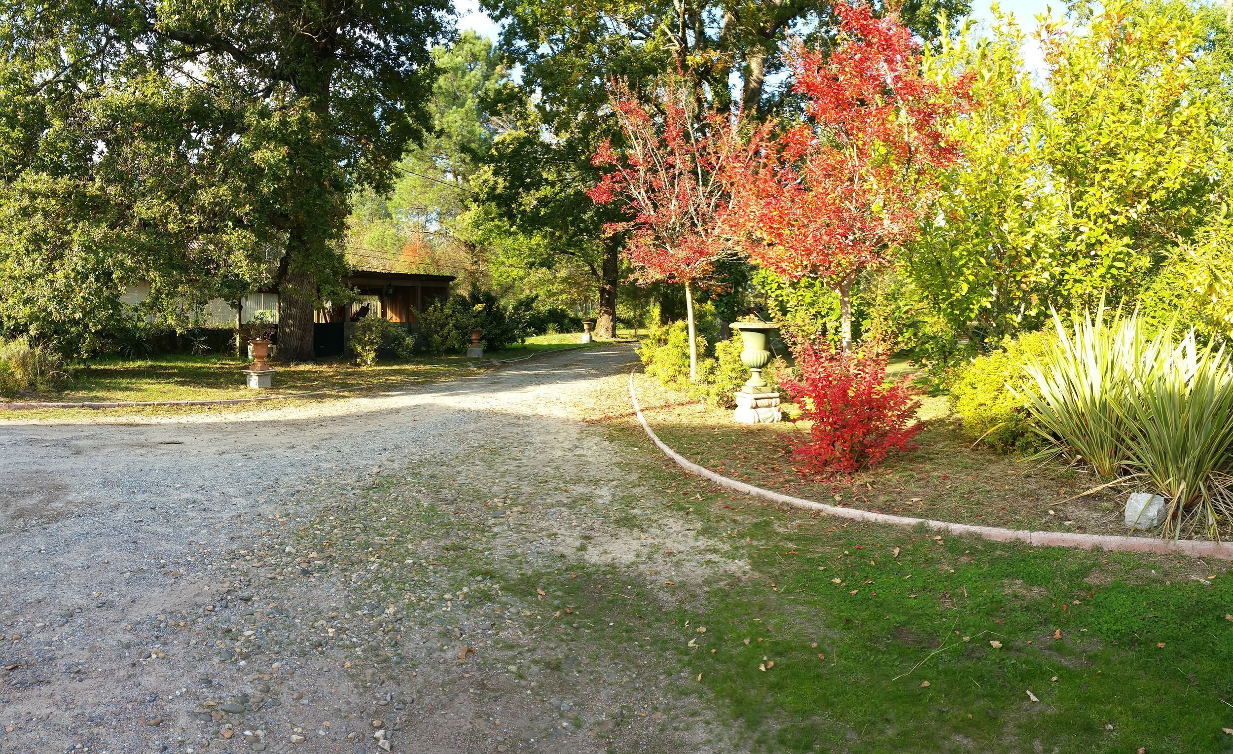 Une allée de gravier menant à une maison dotée d’un jardin.