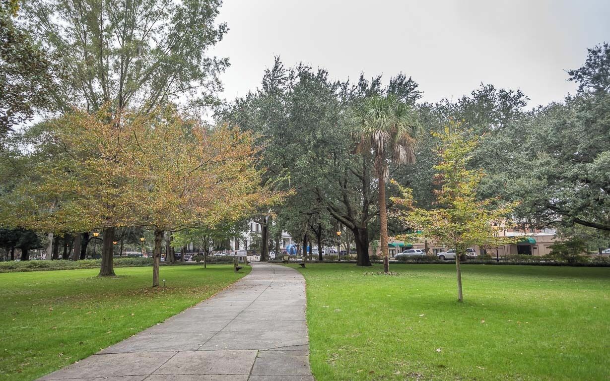 Ein Baum- und Rasenstreifen säumt den Parkweg.