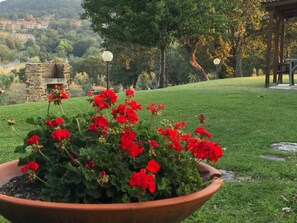Jardin